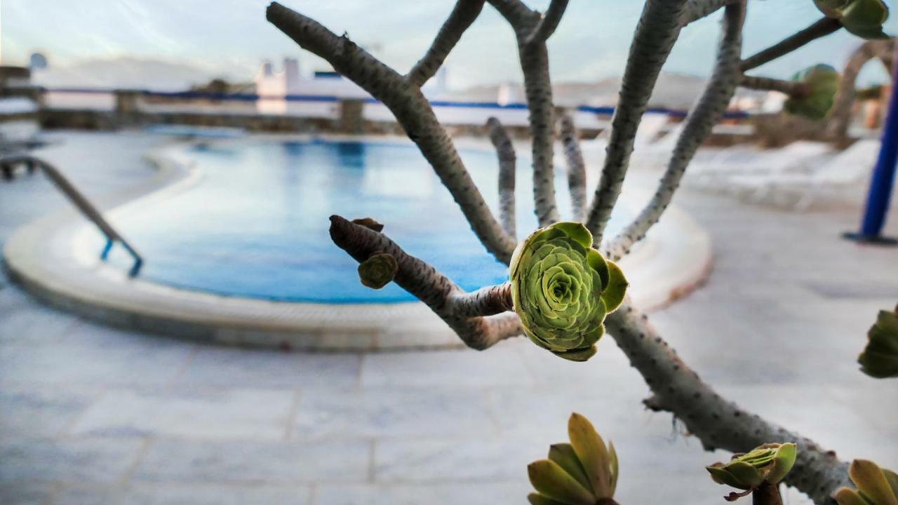 Stunning 4br In Mykonos Villa Ornos (Mykonos)